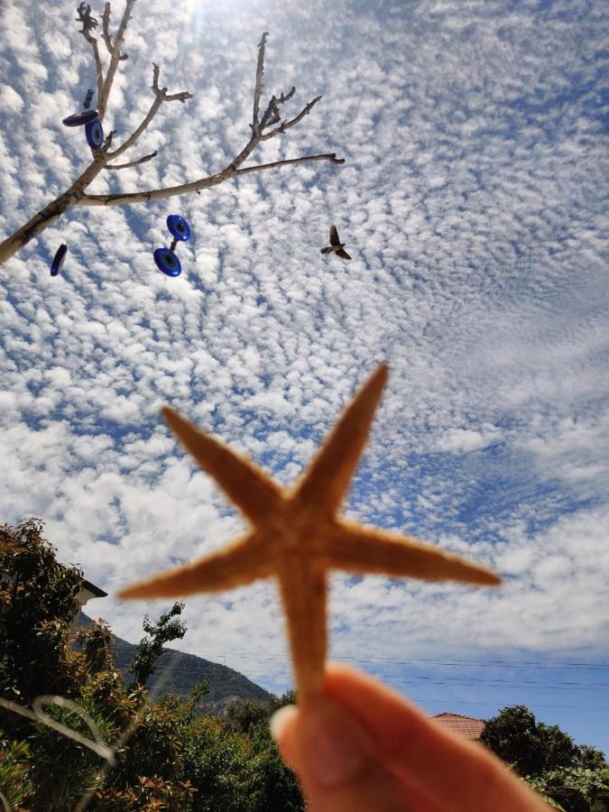 Cc'S Butik Hotel Ölüdeniz Esterno foto