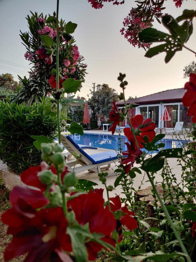Cc'S Butik Hotel Ölüdeniz Esterno foto