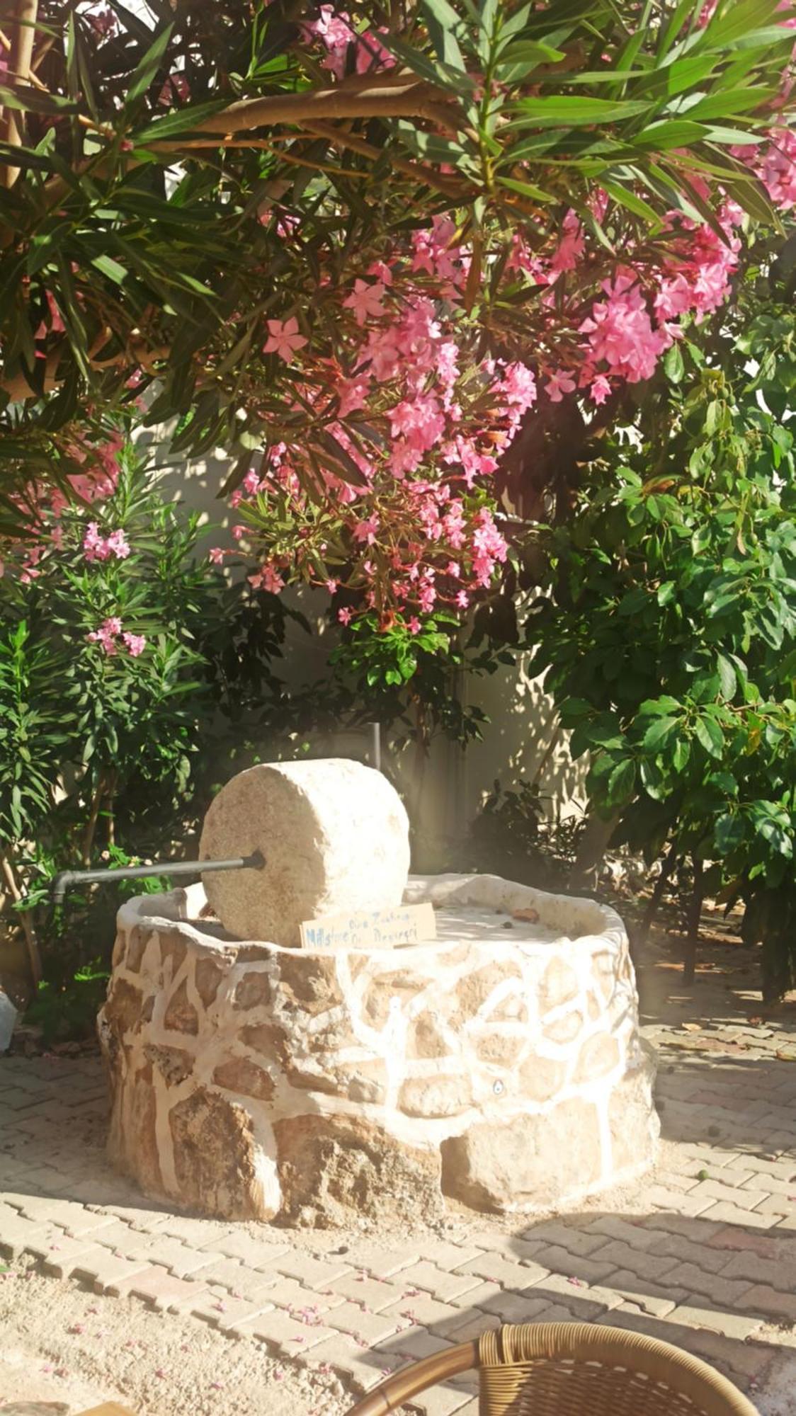 Cc'S Butik Hotel Ölüdeniz Esterno foto